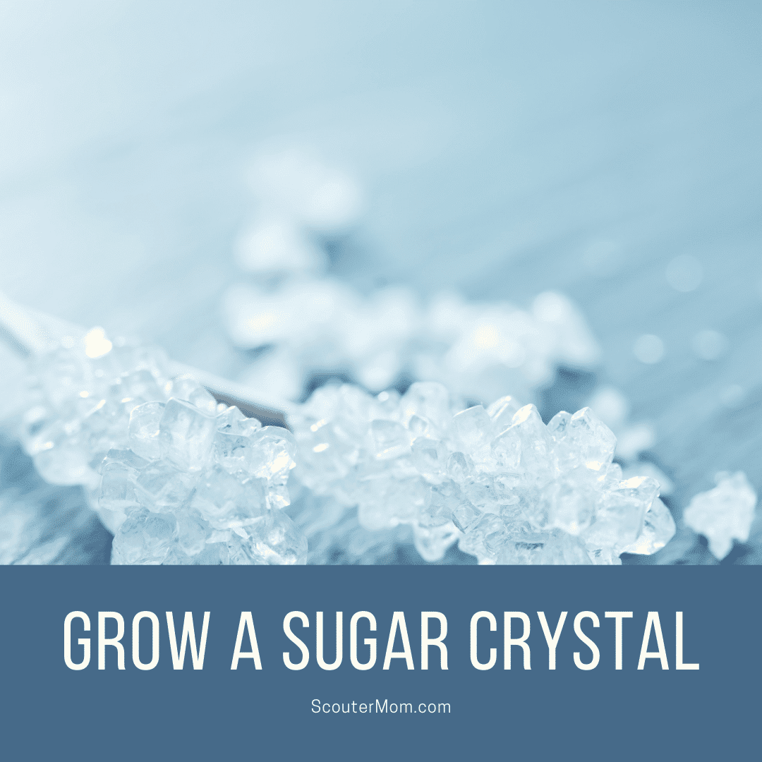 How to Grow a Sugar Crystal – Scouter Mom