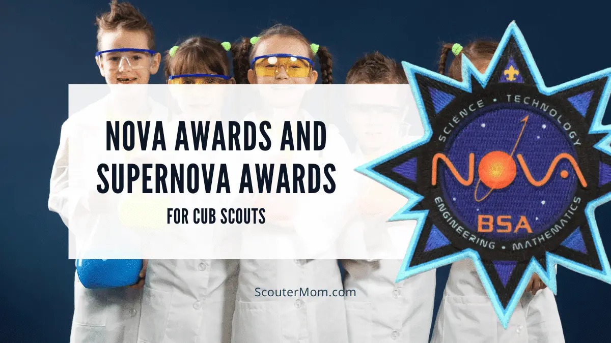 Youth who earn the Cub Scout nova awards get a patch and pins.