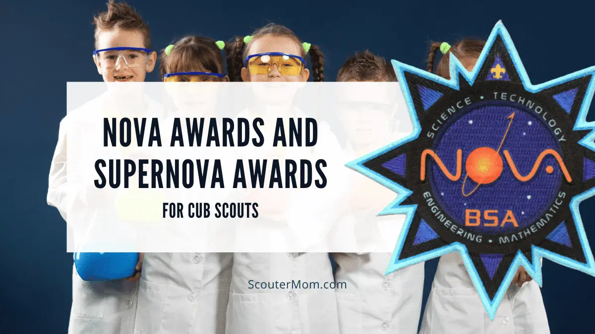 stem supernova award