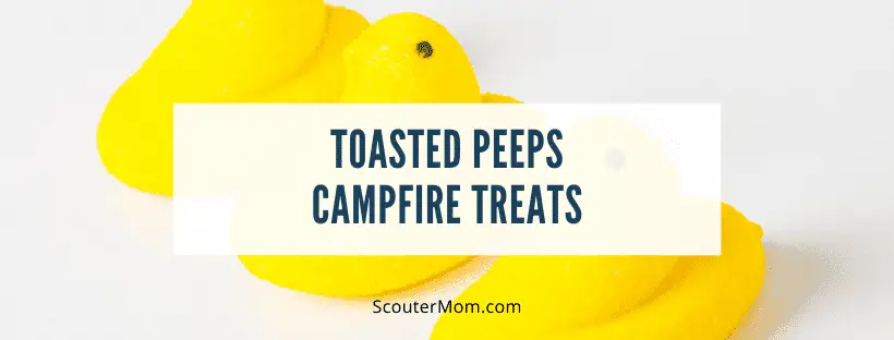 Toasted Peeps Campfire Treats