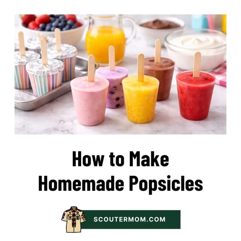 How to Make Homemade Popsicles – Scouter Mom