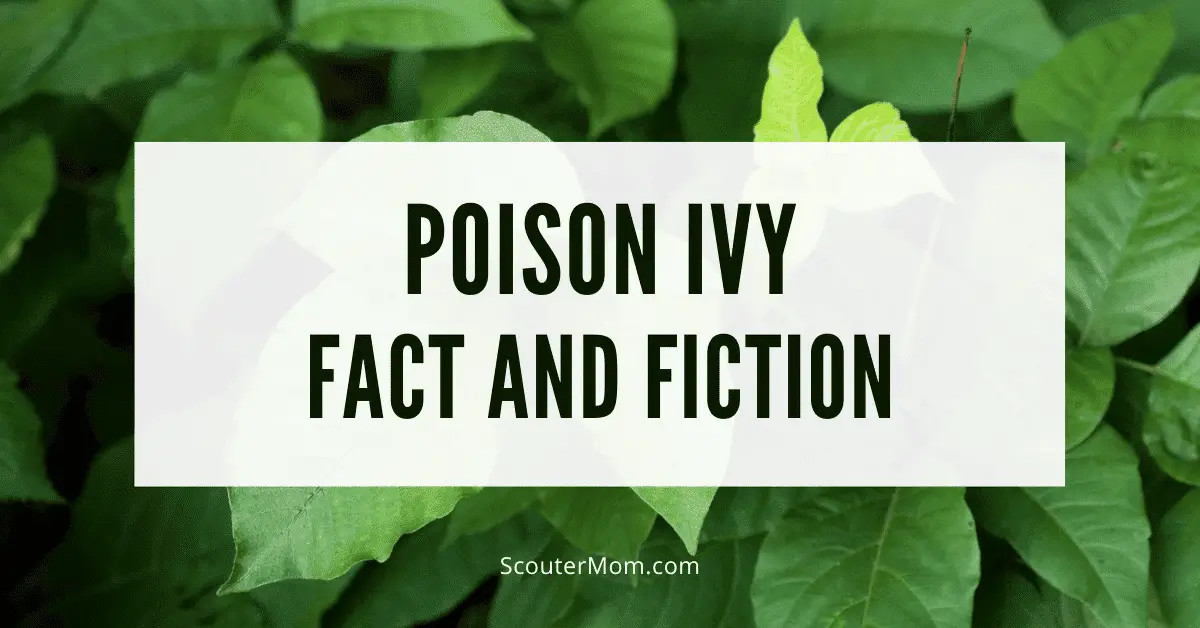 Poison Ivy Fact and Fiction