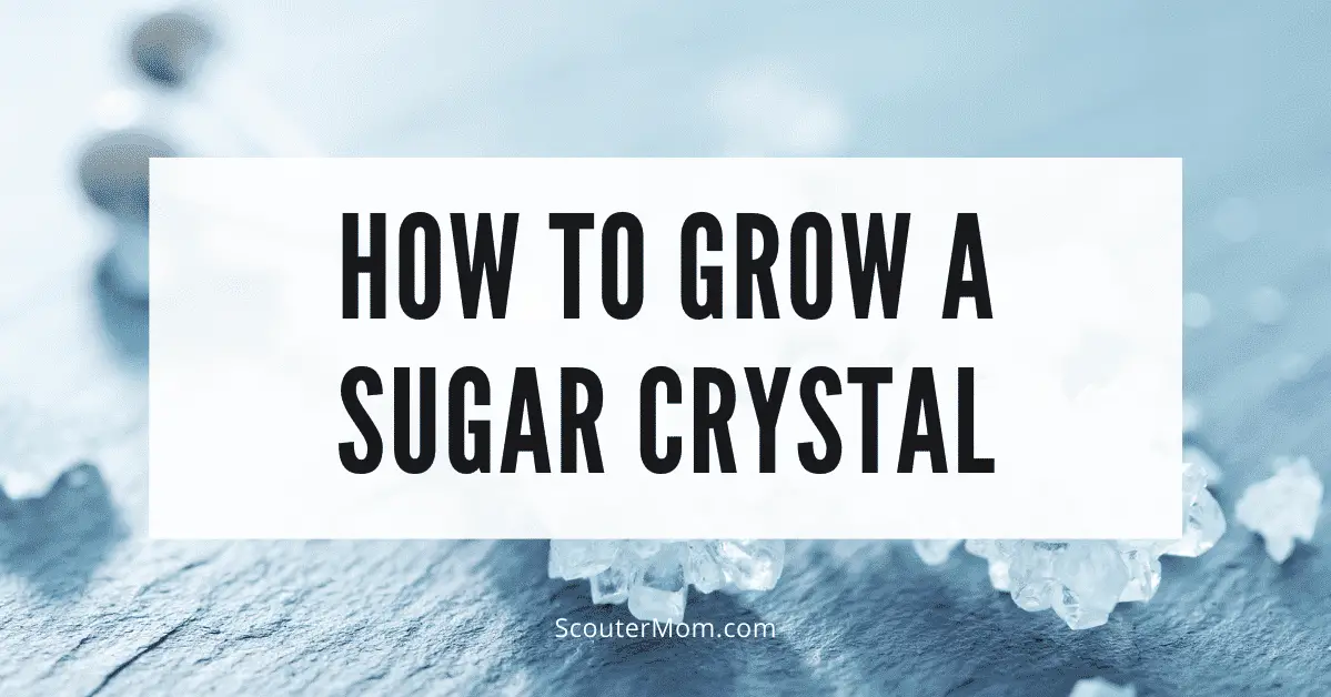 How to Grow a Sugar Crystal