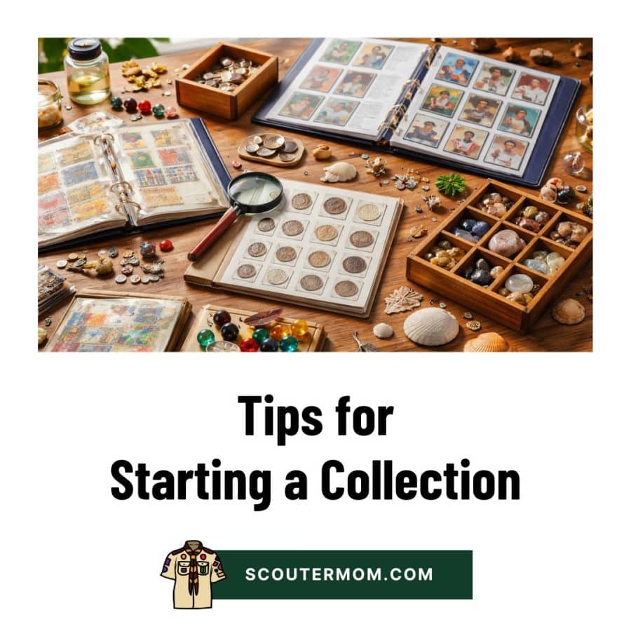 Tips for Starting a Collection – Scouter Mom