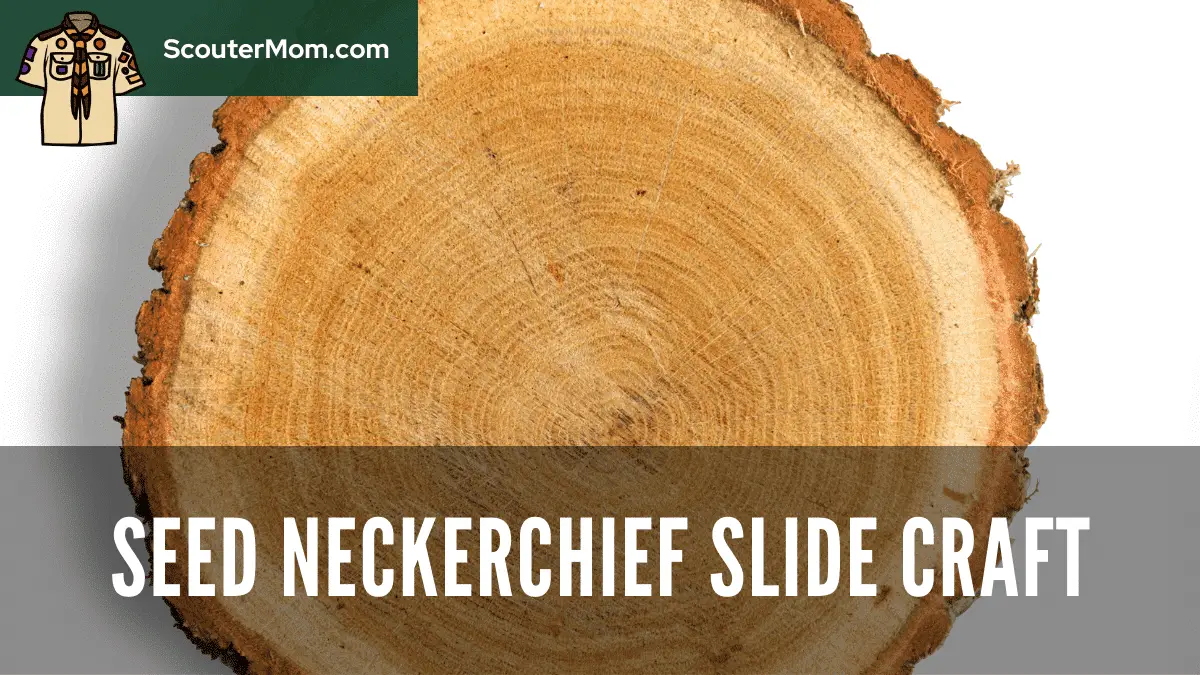 Seed Neckerchief Slide Craft