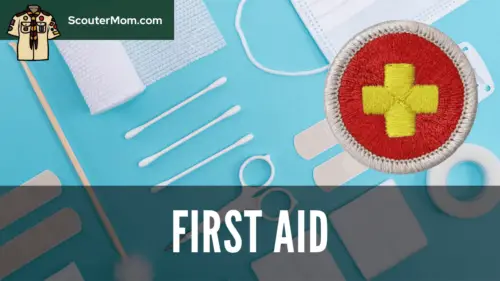 First Aid Merit Badge Requirements, Worksheet, And Answers: 50+ Resources