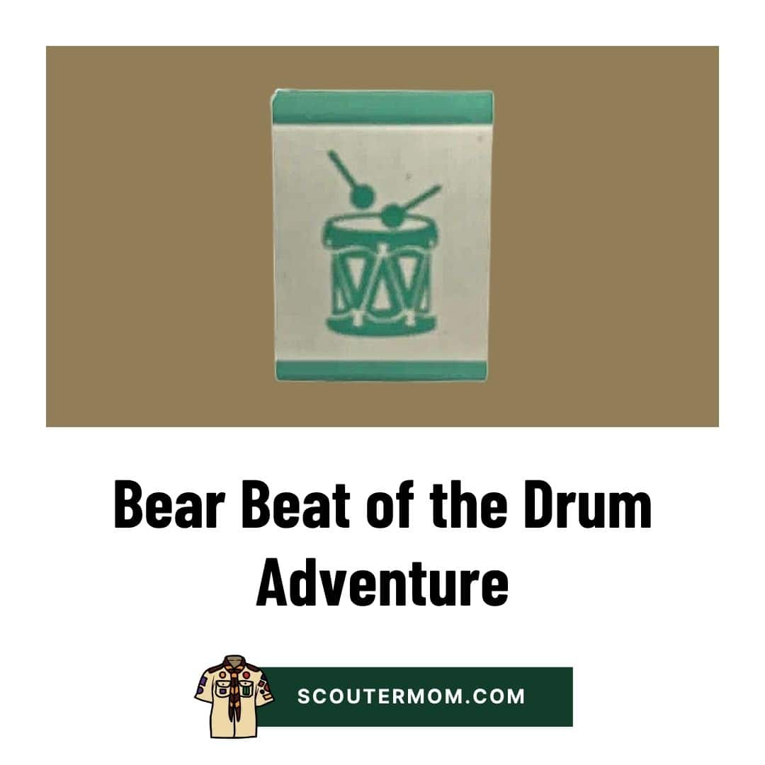 Bear Beat of the Drum Adventure