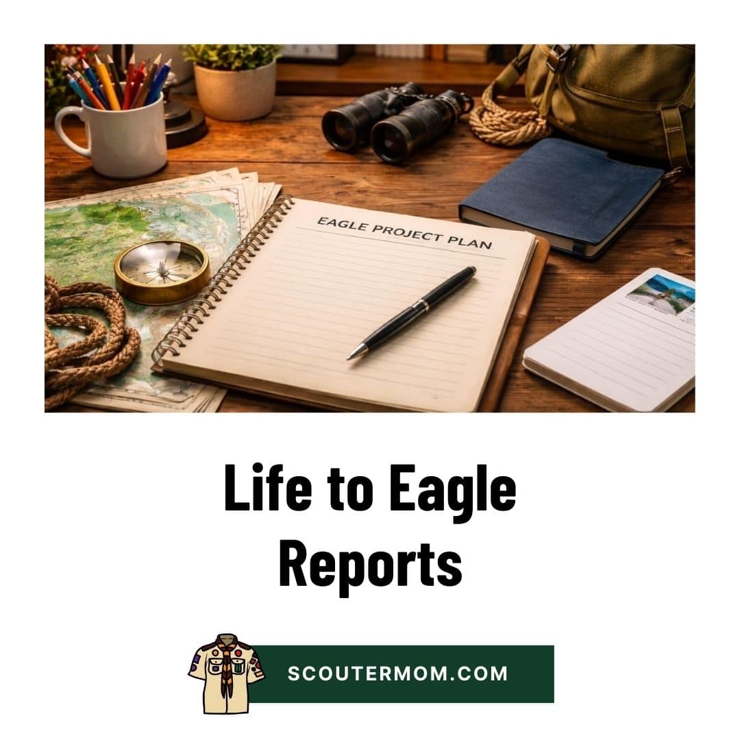 Life to Eagle Reports