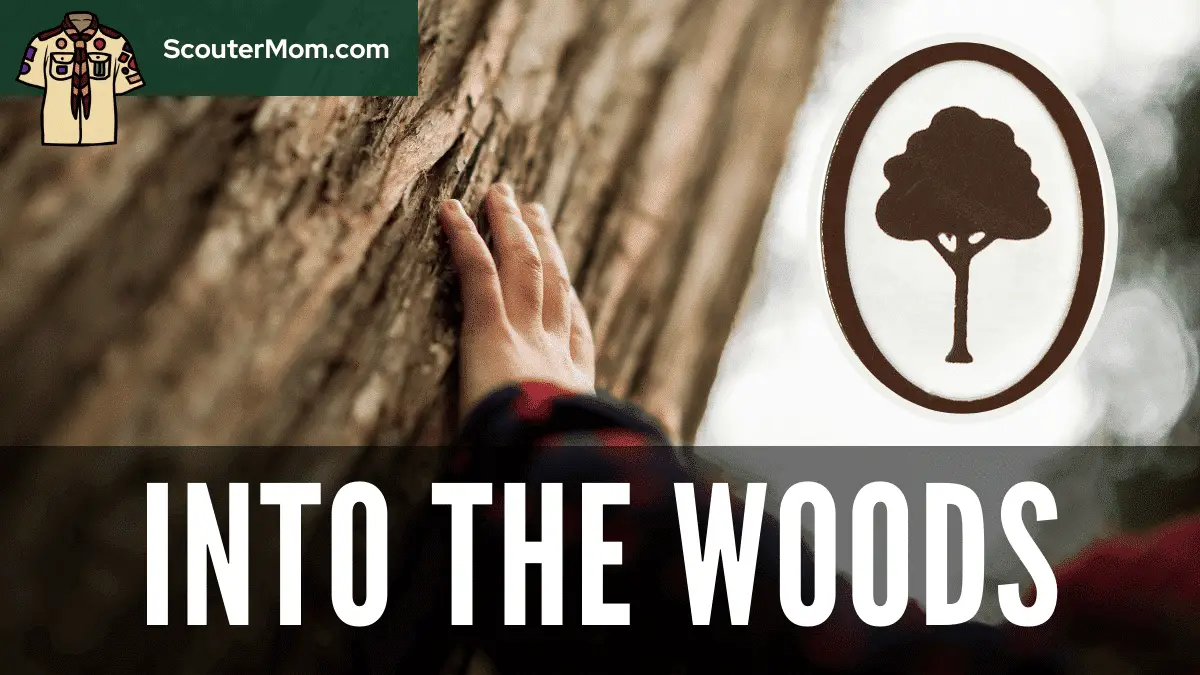 Into the Woods Adventure: Cub Scout Helps and Ideas