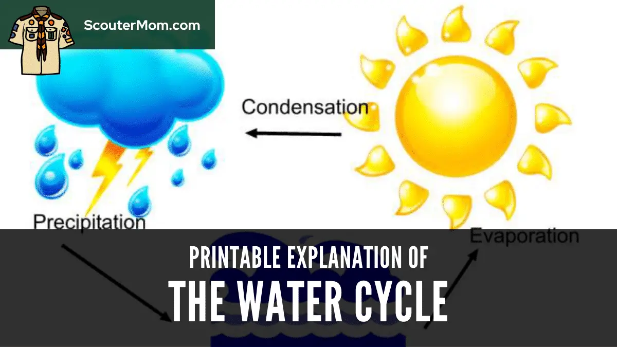 Printable Explanation of the Water Cycle