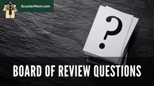 What Is A Board Of Review what-is-a-board-of-review