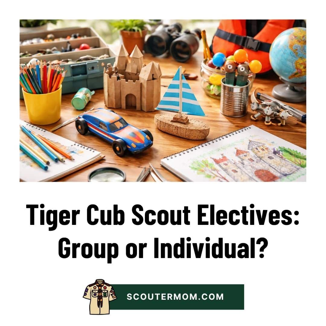 Tiger Cub Scout Electives: Group or Individual?
