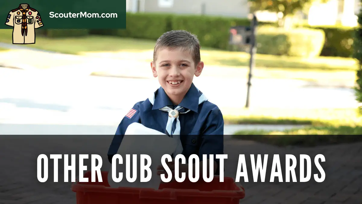 Other Cub Scout Awards Helps and Documents