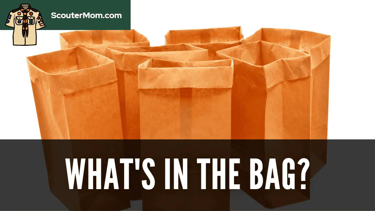What’s In the Bag Game