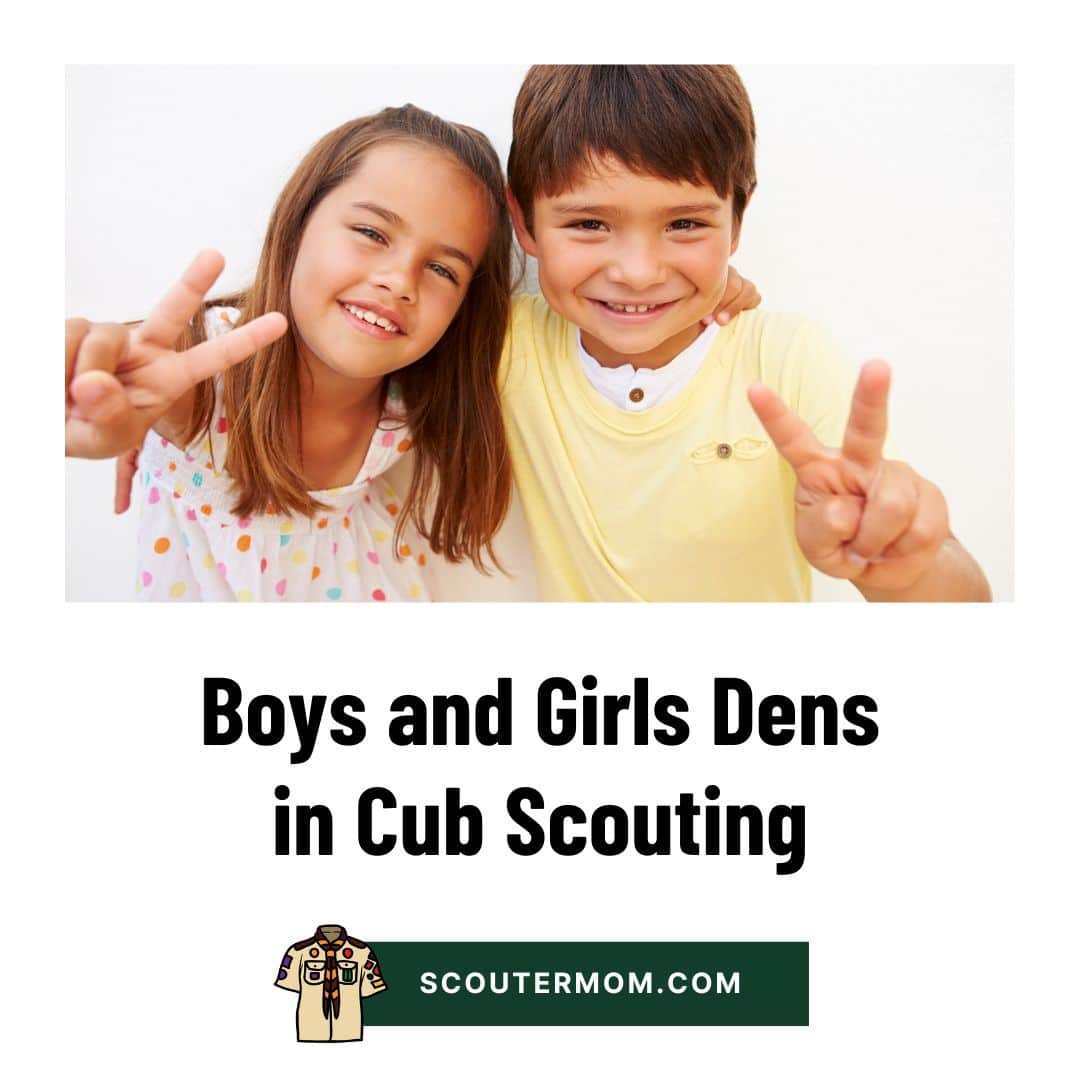 Boys and Girls Dens in Cub Scouting