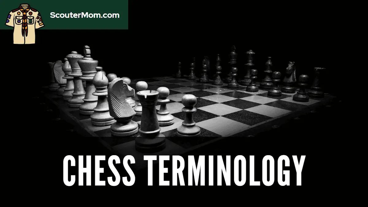 Chess Terms, Phrases, & Expressions Defined (With Examples)