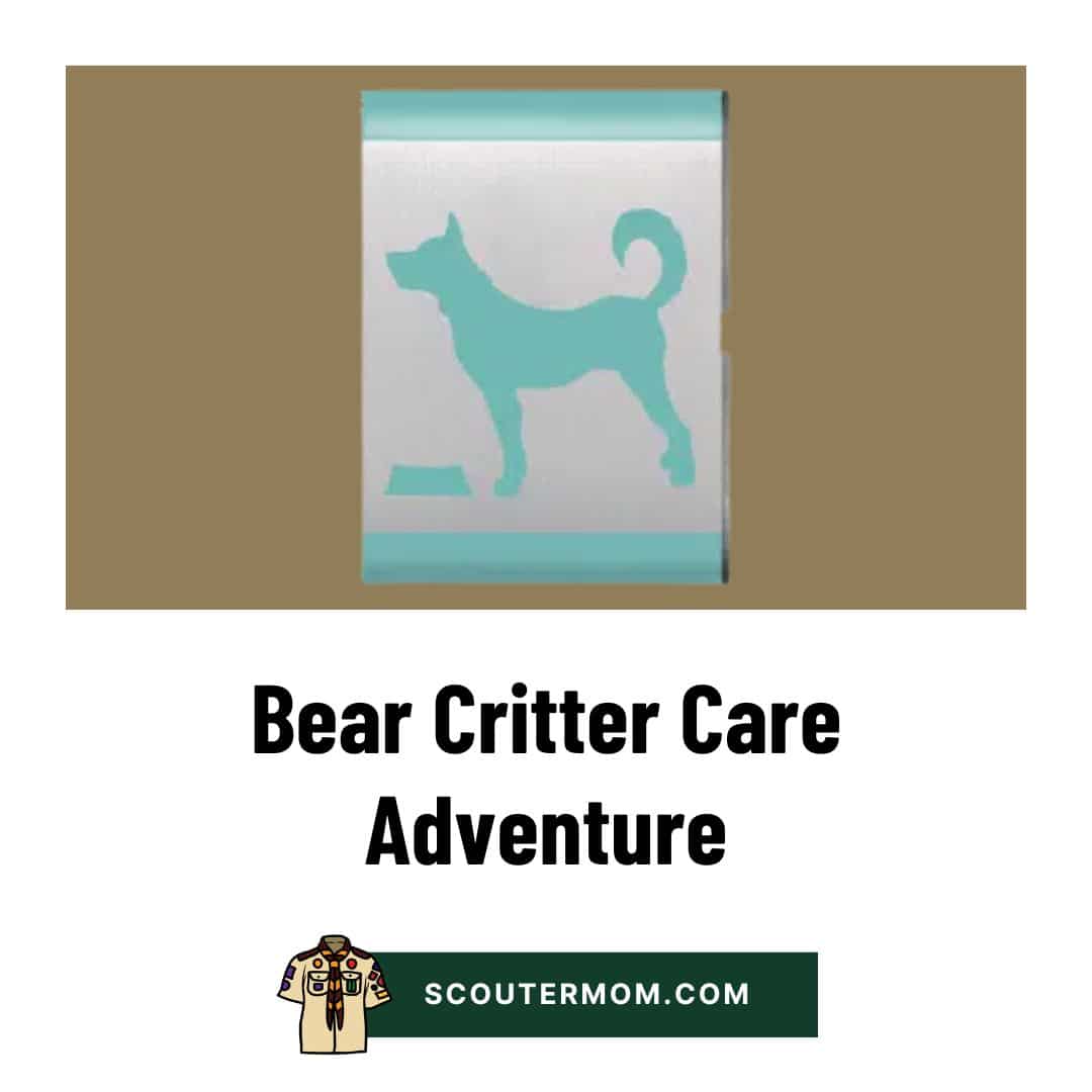 Bear Critter Care Adventure