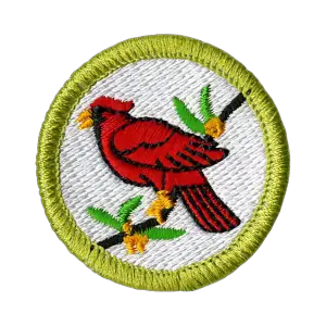 Bird Study merit badge emblem
