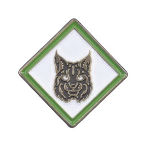 Webelos Bobcat adventure pin