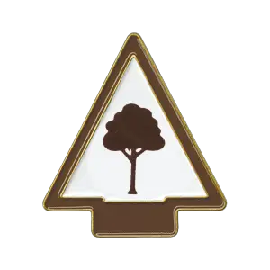 Arrow of Light Into the Woods Pin 1