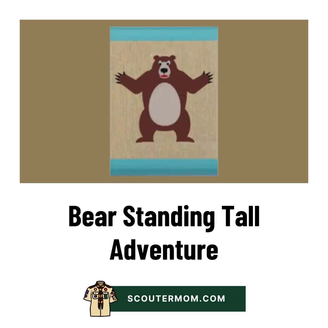 Bear Standing Tall Adventure
