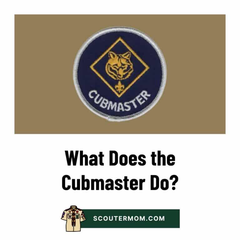 Cub Scout Program for 2026: Requirements and Free Resources – Scouter Mom
