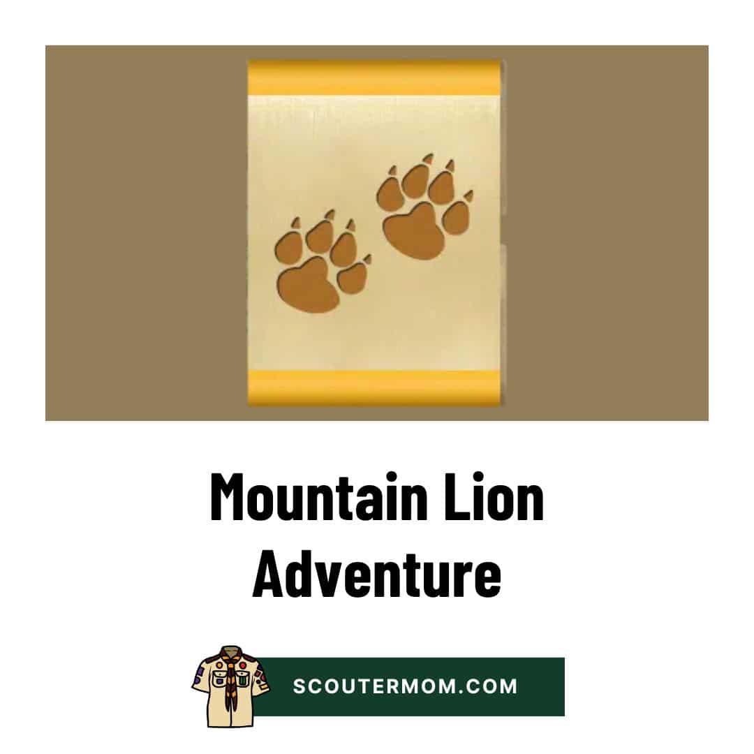 Mountain Lion Adventure