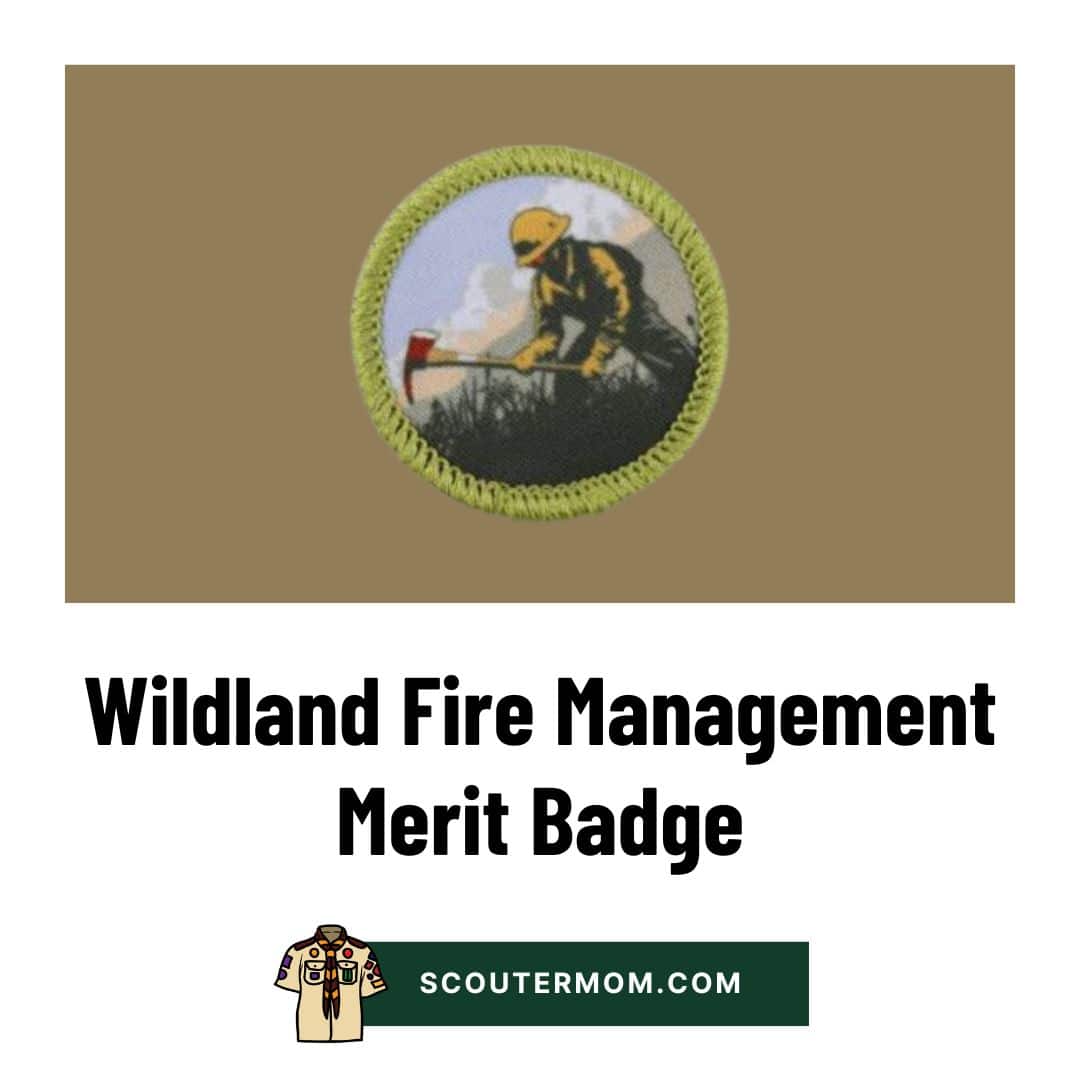Wildland Fire Management Merit Badge