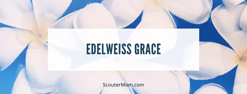 Edelweiss Grace