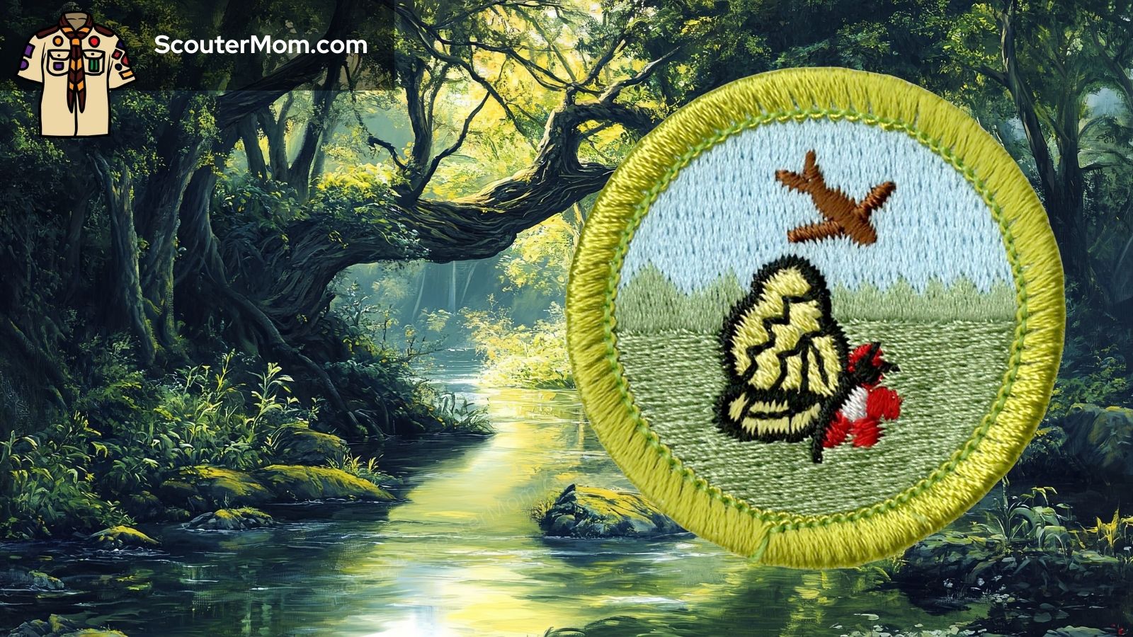 Nature Merit Badge