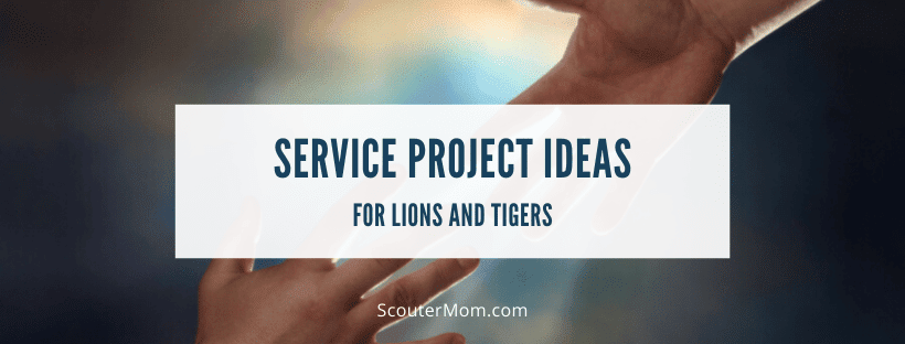 Service Project Ideas for Lions Tigers Cub Scouts