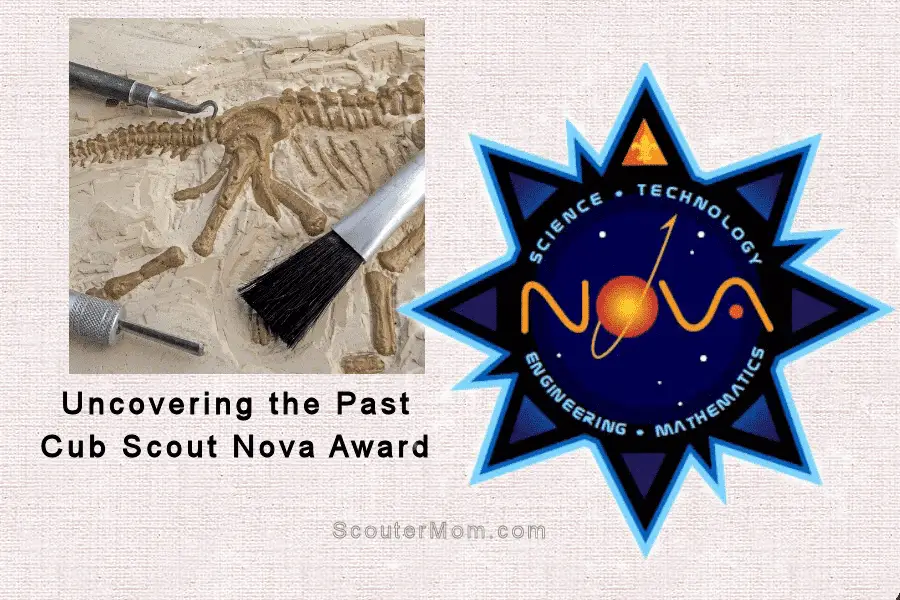 Uncovering the past nova award